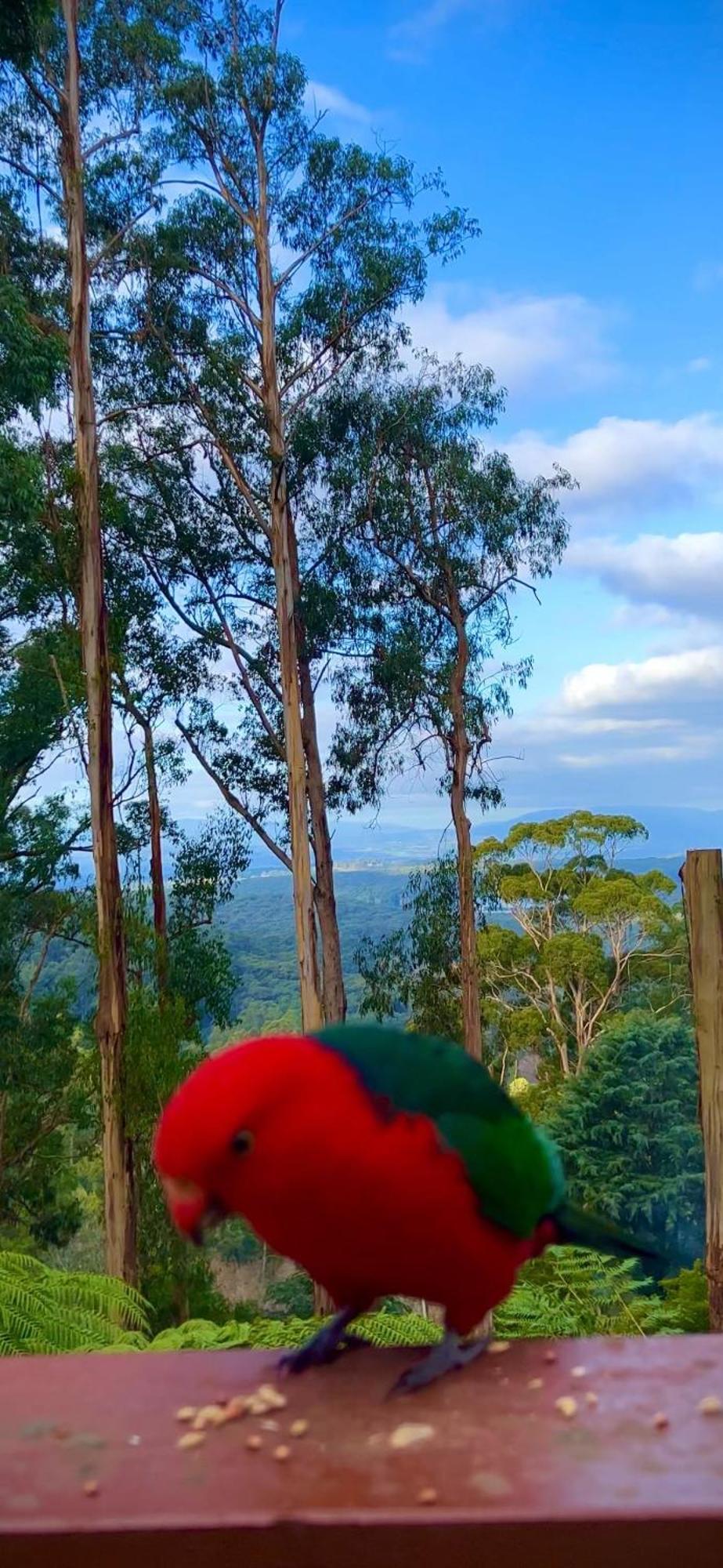 Melbourne Topview Villa In Dandenong Ranges Near Skyhigh Kalorama Exterior photo